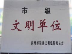 喜訊！公司榮獲“市級(jí)文明單位”稱號(hào)